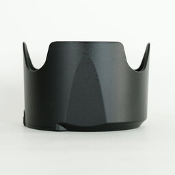 Nikon AF-S NIKKOR 70-200mm f/2.8E FL ED VR Nikon AF-S NIKKOR 70-200mm f/2.8E FL ED VR