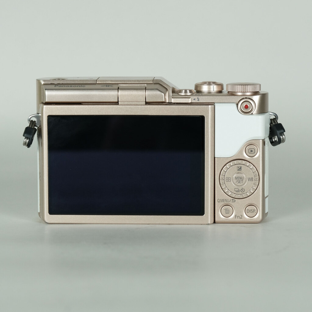 Panasonic LUMIX DC-GF10 ボディ ホワイトの出品 | ONE SCENE（ワン