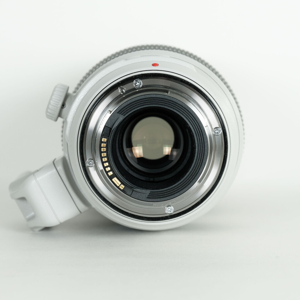 Canon EF100-400mm F4.5-5.6L IS II USM Canon EF100-400mm F4.5-5.6L IS II USM