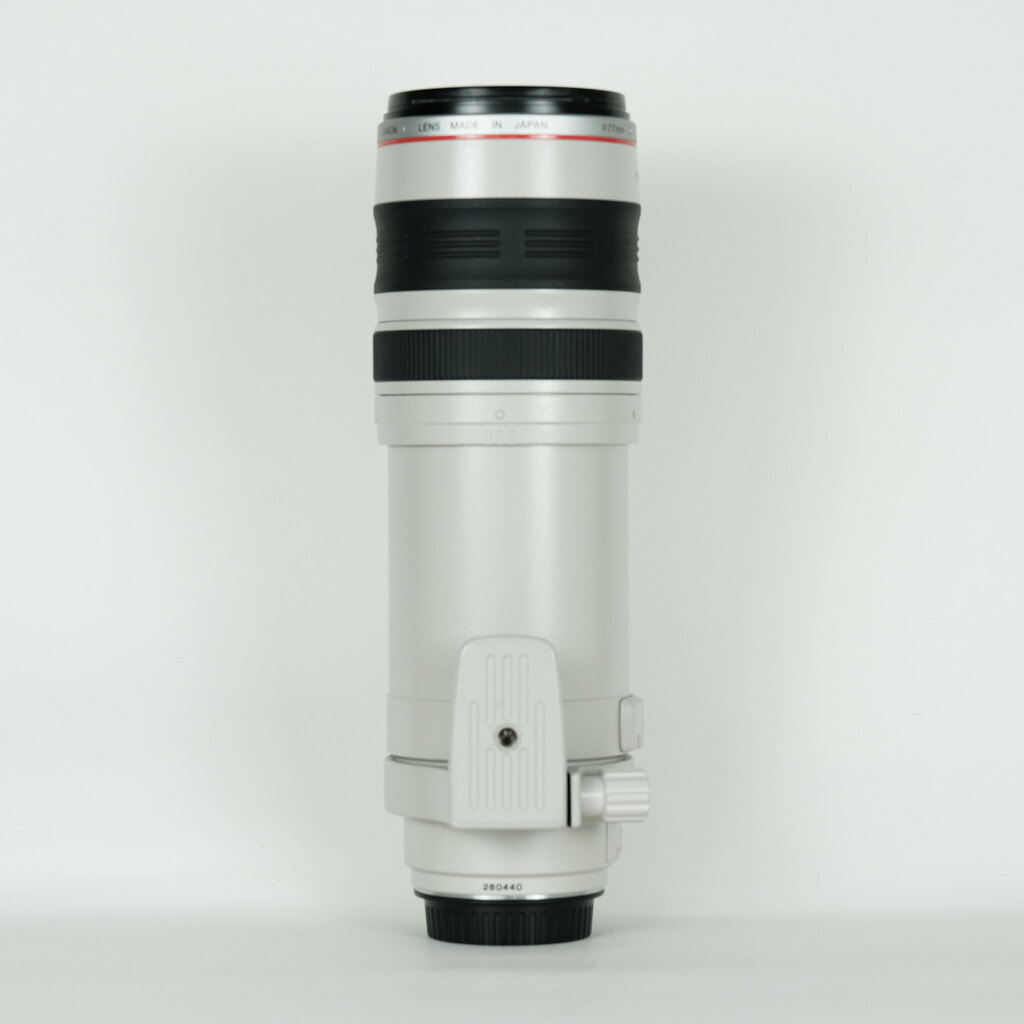 Canon EF100-400mm F4.5-5.6L IS USM