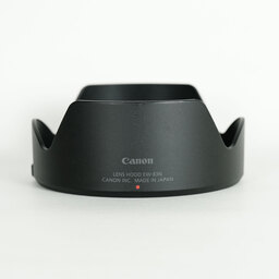 Canon RF24-105mm F4 L IS USM