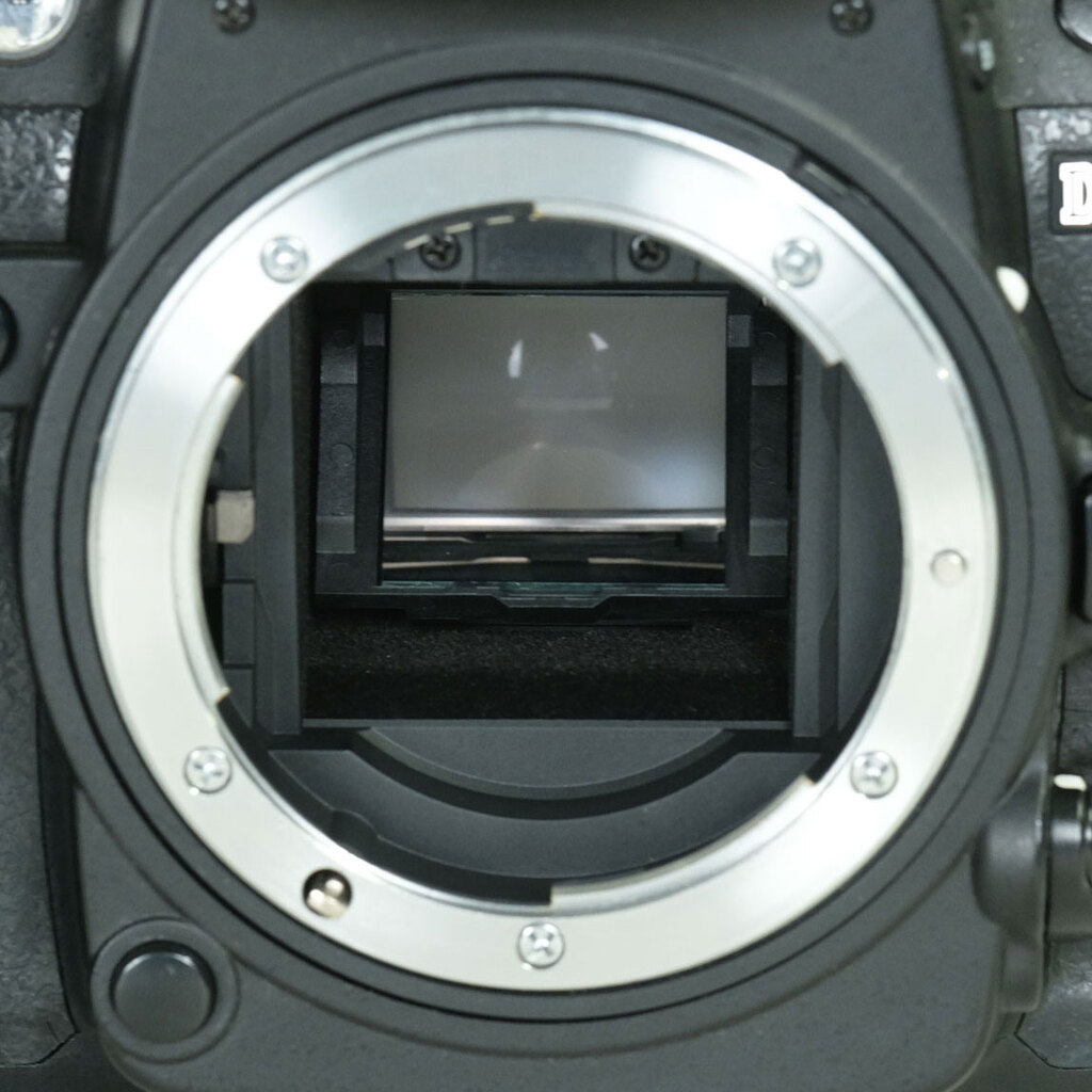 Nikon D7000