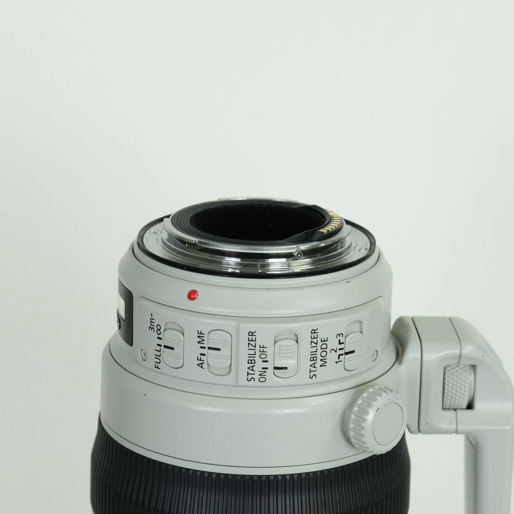 Canon EF100-400mm F4.5-5.6L IS II USM