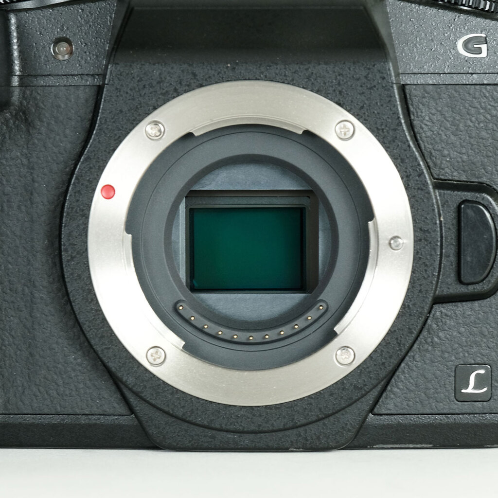 Panasonic LUMIX DMC-G8