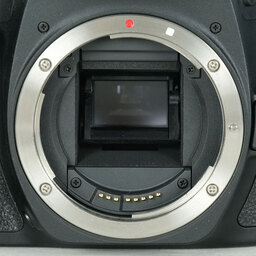 Canon EOS 90D