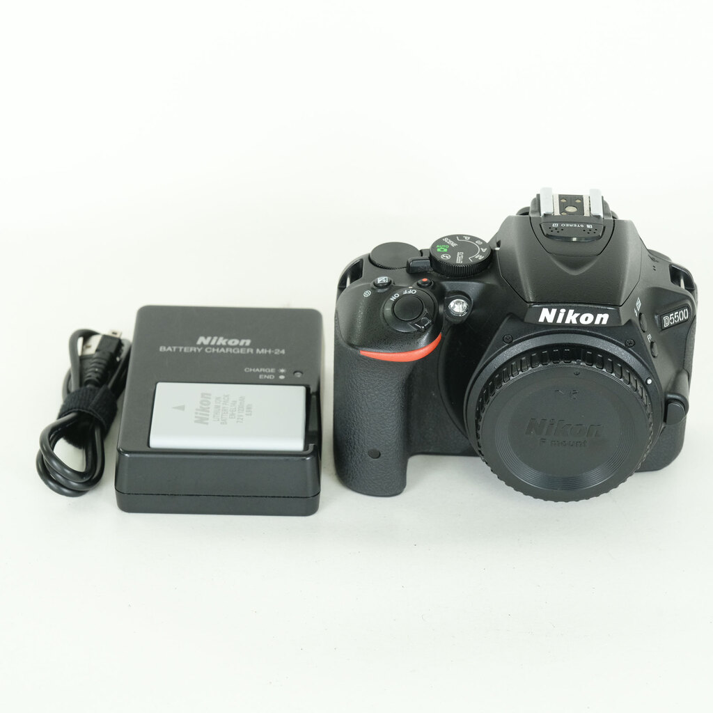 Nikon D5500