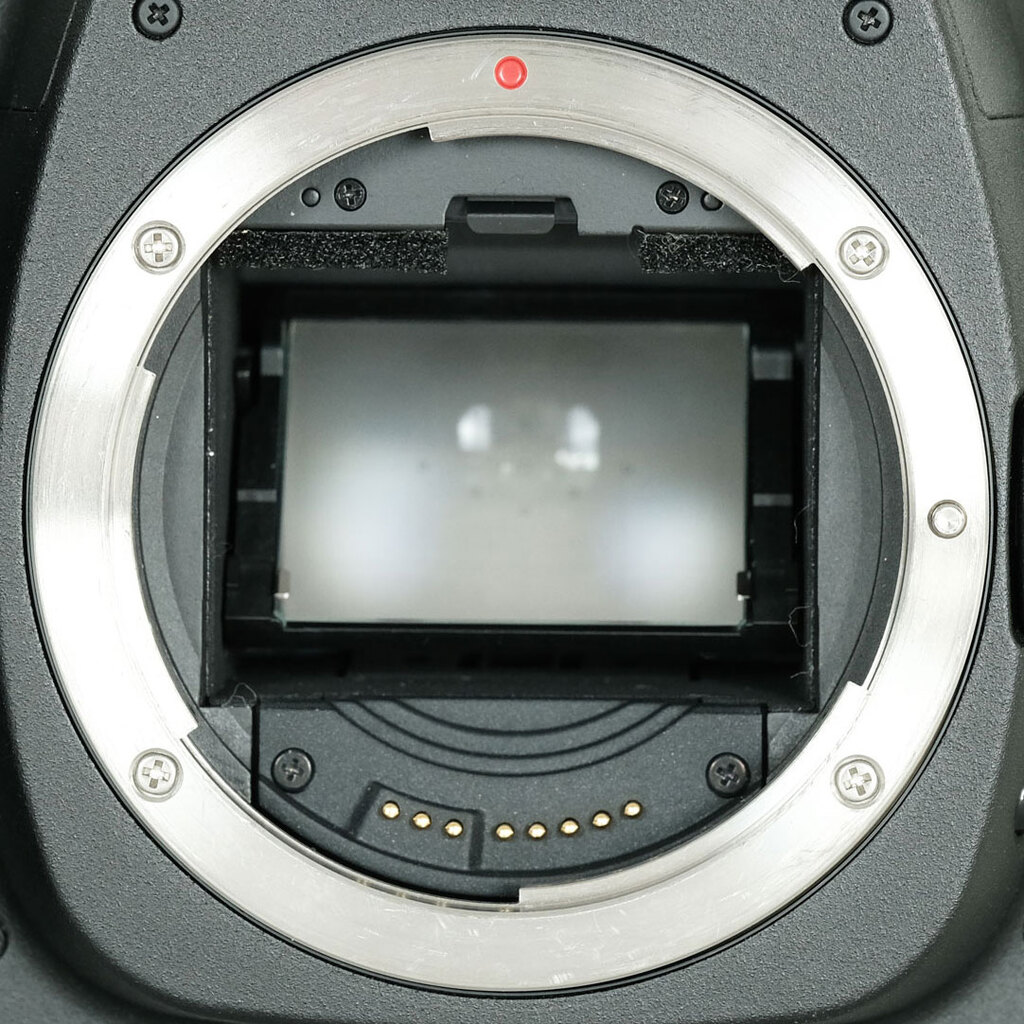 Canon EOS 5D MarkII ボディ