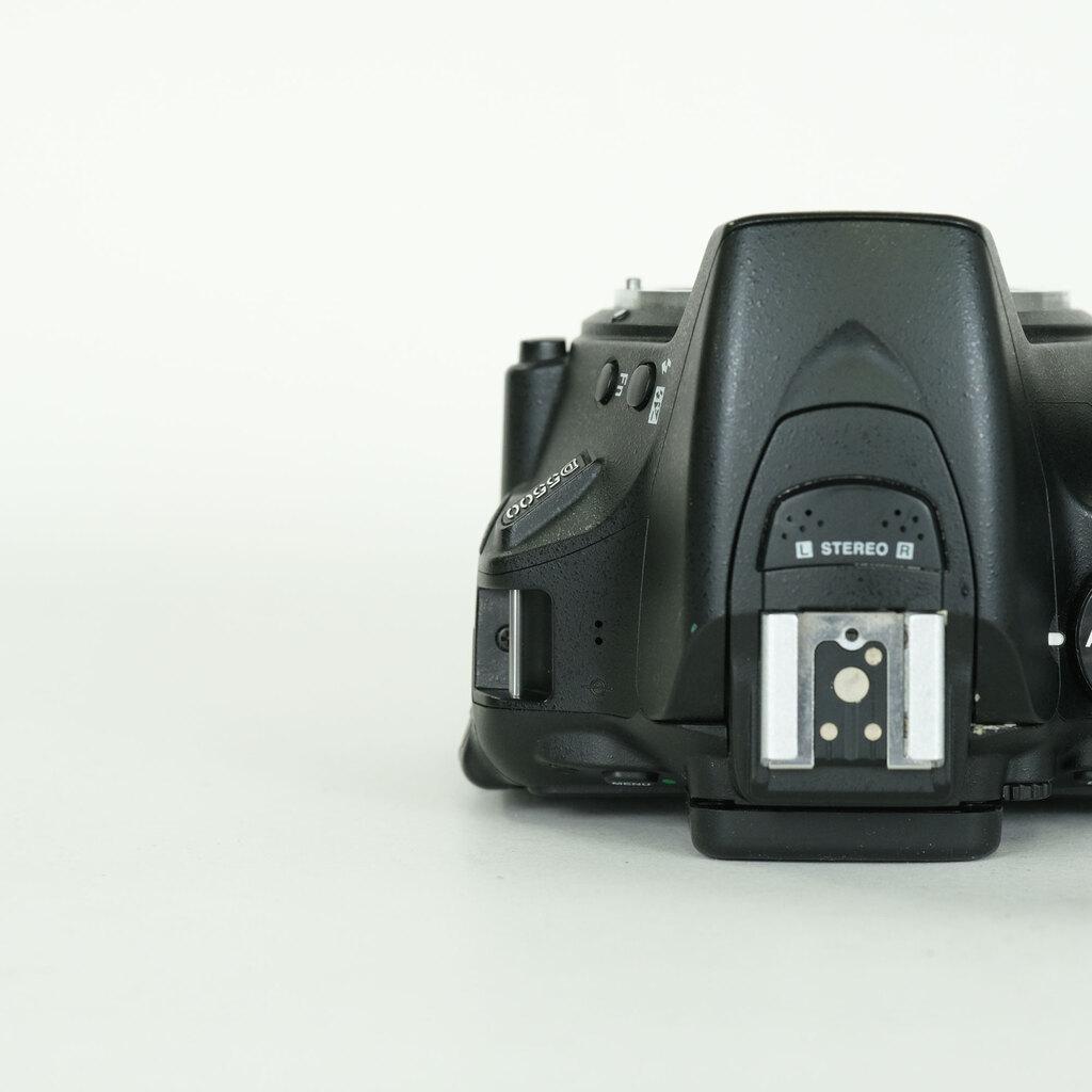 Nikon D5500