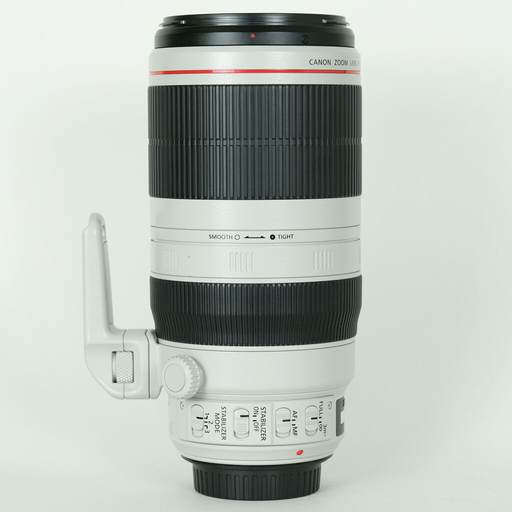 Canon EF100-400mm F4.5-5.6L IS II USM