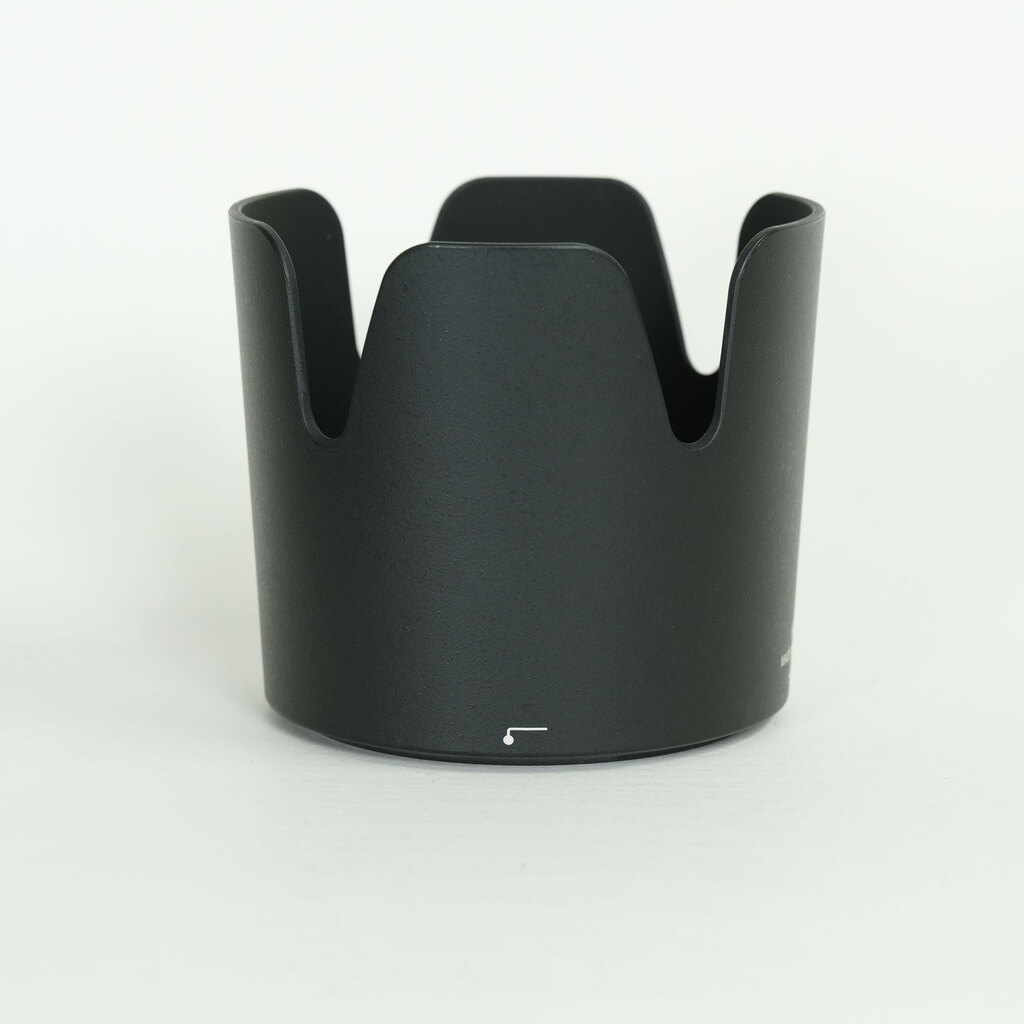 Nikon AF-P NIKKOR 70-300mm f/4.5-5.6E ED VR