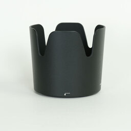 Nikon AF-P NIKKOR 70-300mm f/4.5-5.6E ED VR