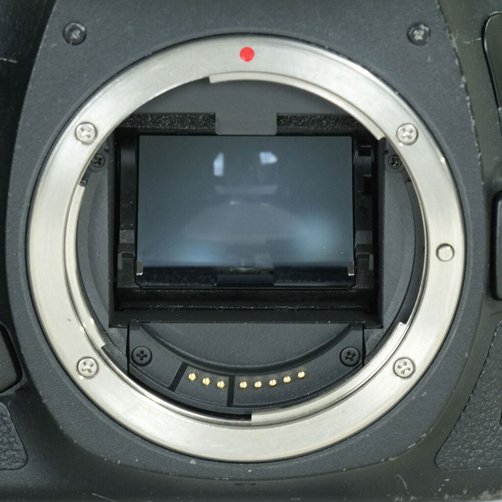 Canon EOS 5D Mark III