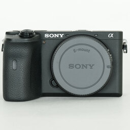 SONY α6600（ILCE-6600）