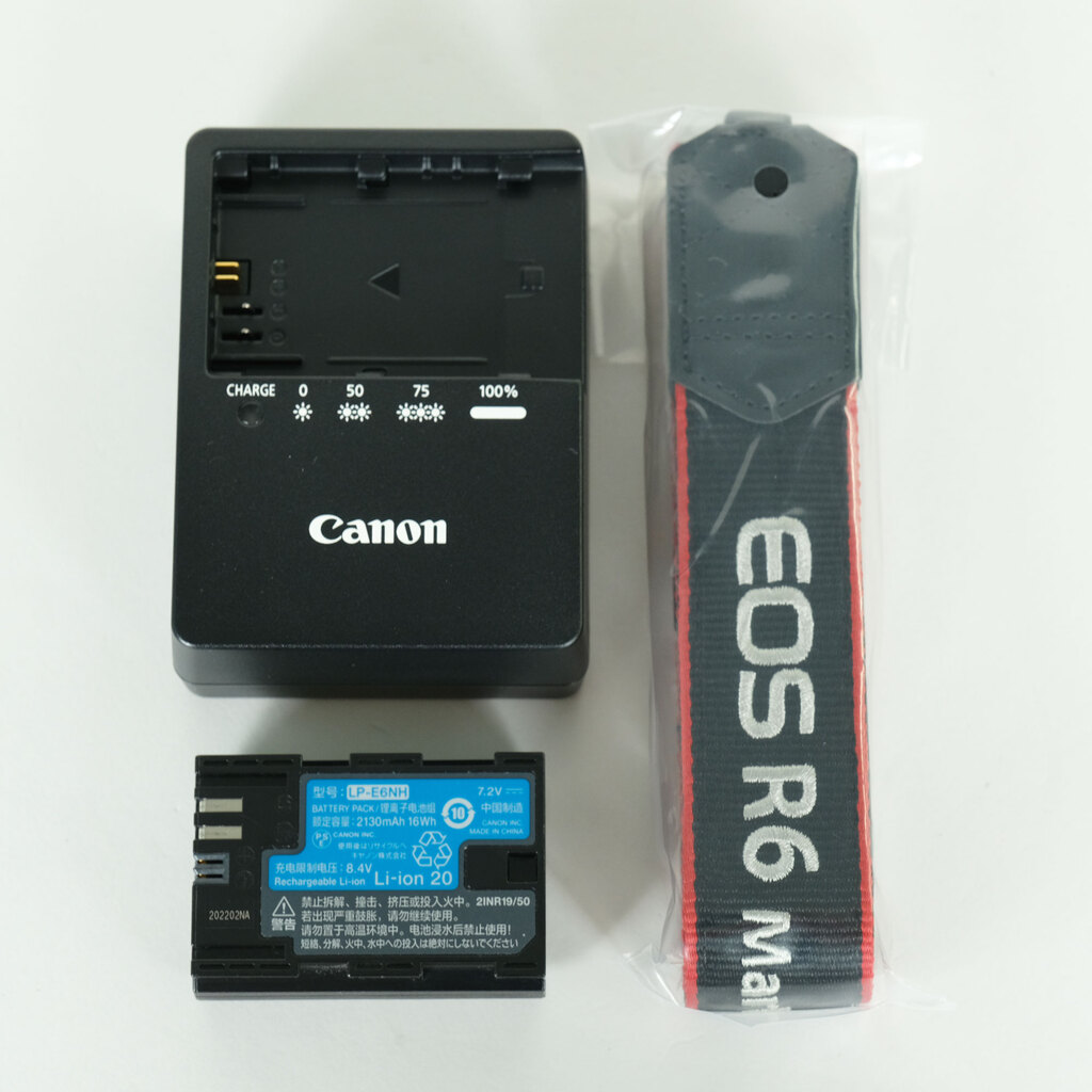 Canon EOS R6 Mark II