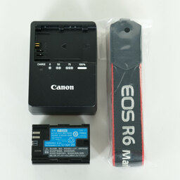 Canon EOS R6 Mark II
