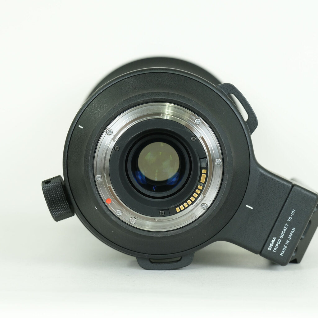 SIGMA 60-600mm F4.5-6.3 DG OS HSM | Sports [キヤノン用]