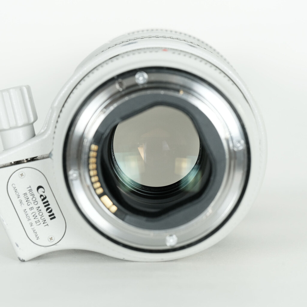 Canon EF70-200mm F2.8L IS III USM