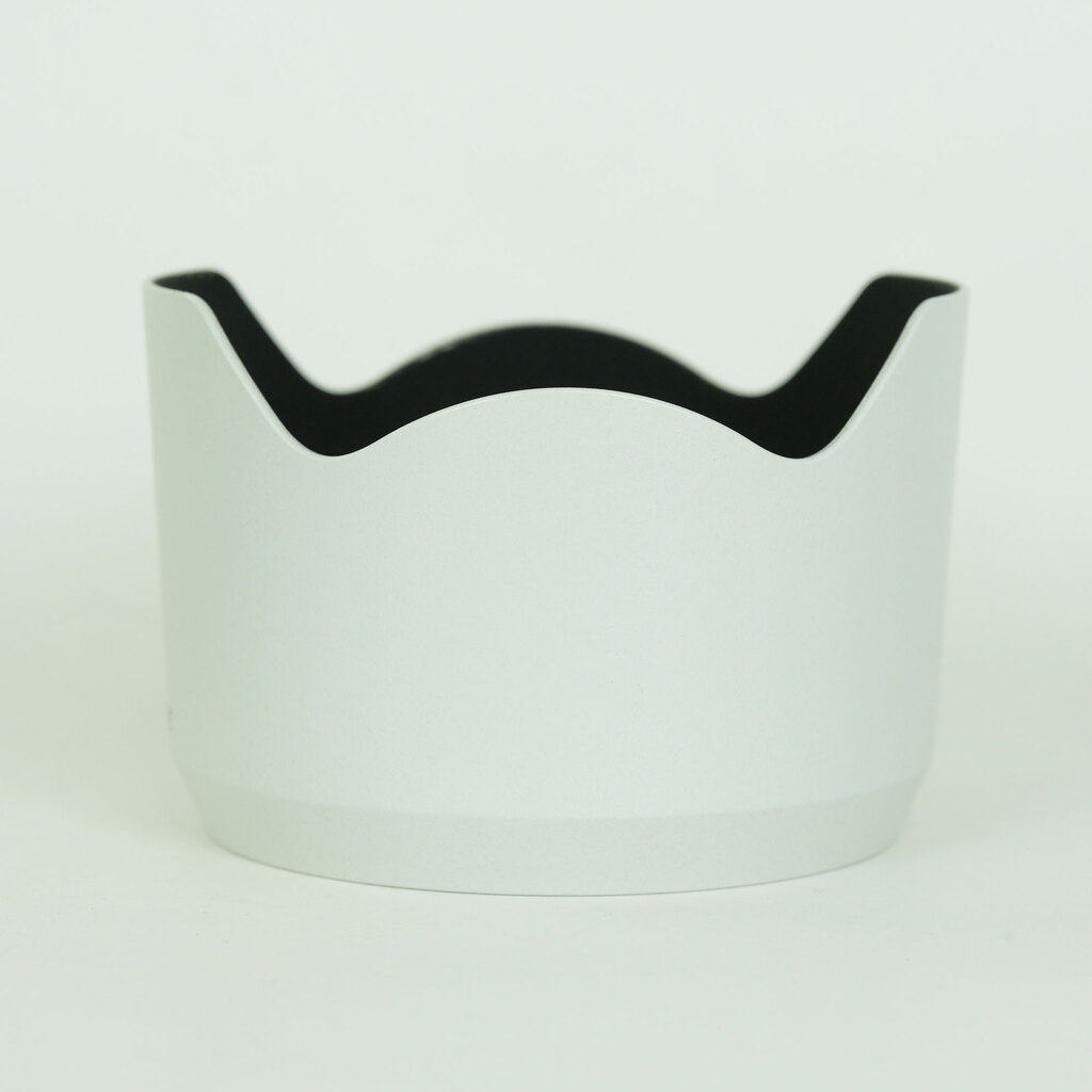 SONY FE70-200mm F4 Macro G OSS II SEL70200G2