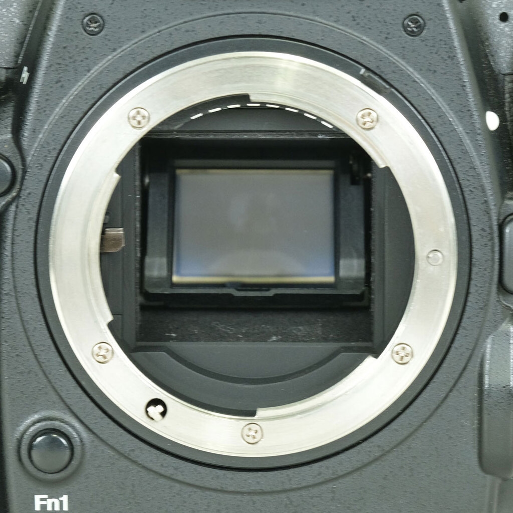Nikon D500