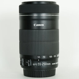 Canon EF-S55-250mm F4-5.6 IS STM