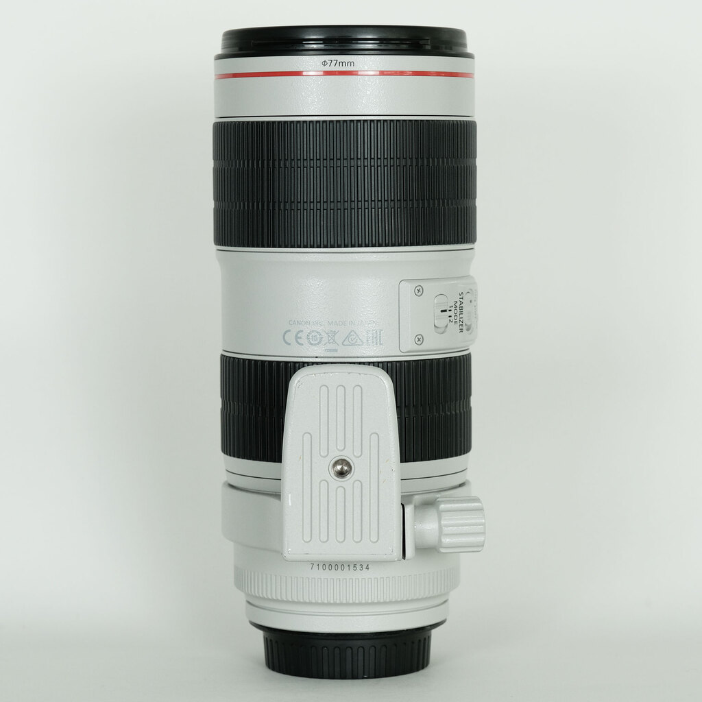 Canon EF70-200mm F2.8L IS III USM