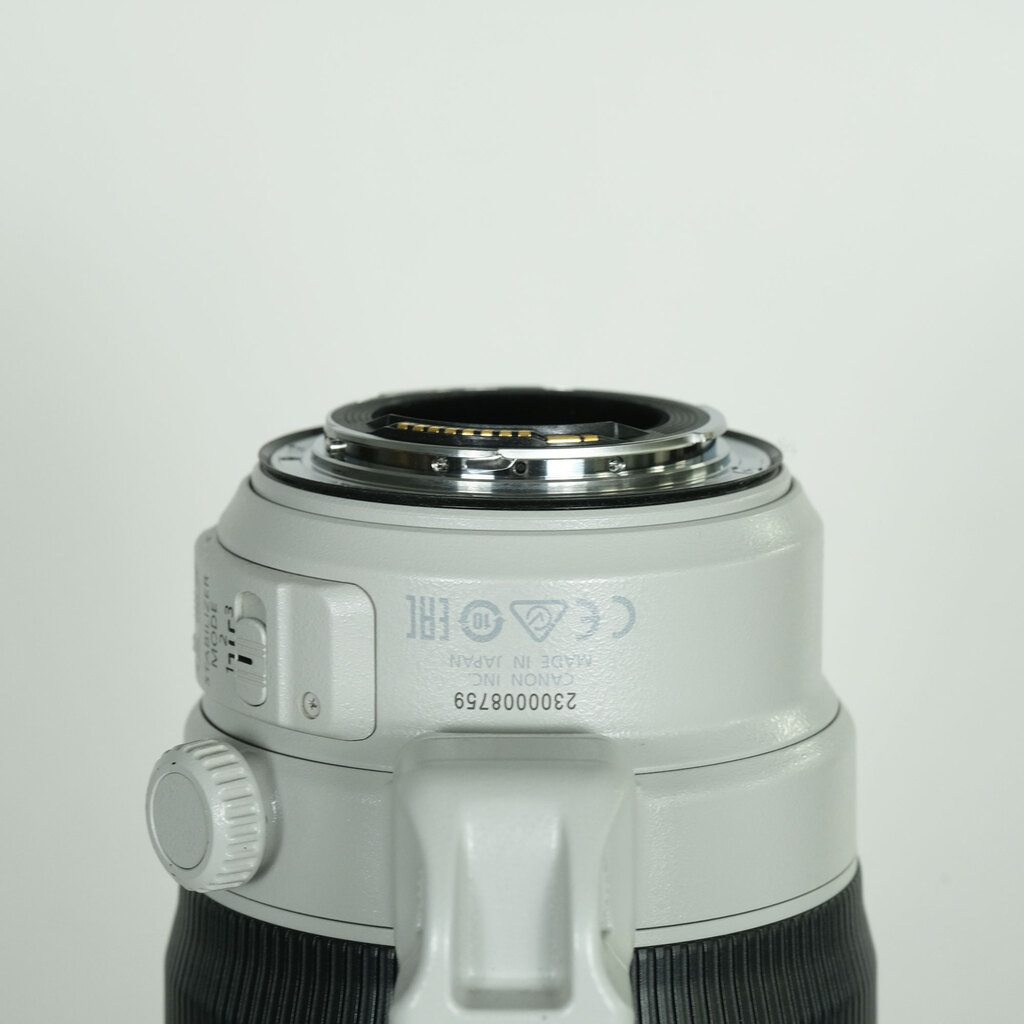 Canon EF100-400mm F4.5-5.6L IS II USM
