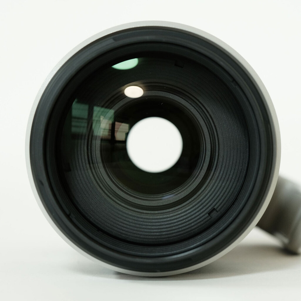 Canon EF100-400mm F4.5-5.6L IS II USM