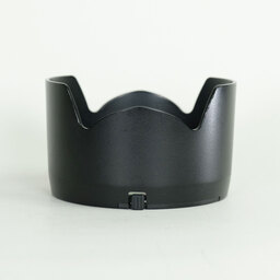 Nikon AF-S DX Zoom-Nikkor 17-55mm f/2.8G IF-ED Nikon AF-S DX Zoom-Nikkor 17-55mm f/2.8G IF-ED