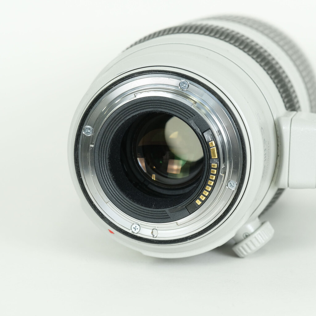 Canon EF100-400mm F4.5-5.6L IS II USM