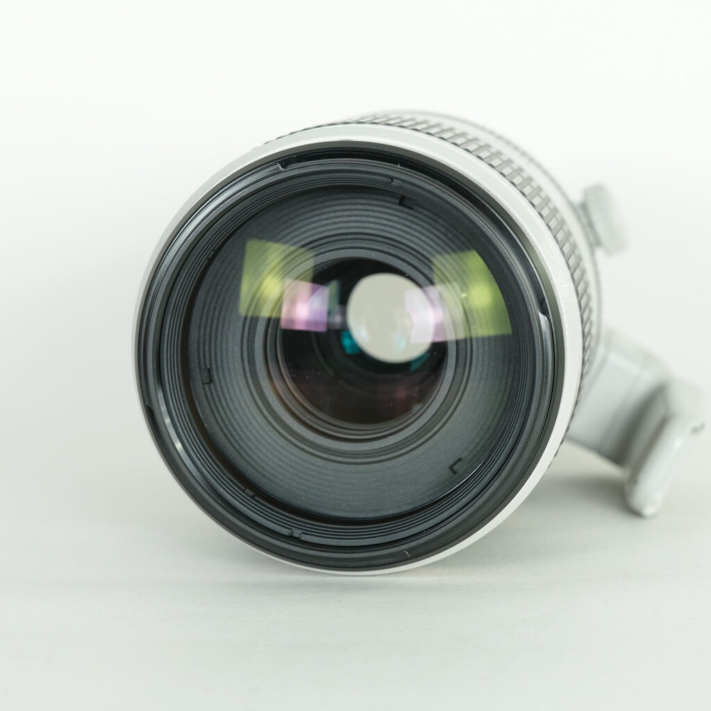 Canon EF100-400mm F4.5-5.6L IS II USM