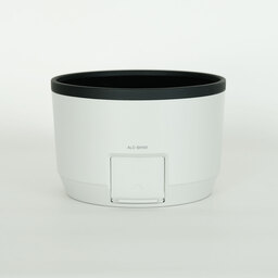 SONY FE 100-400mm F4.5-5.6 GM OSS SEL100400GM