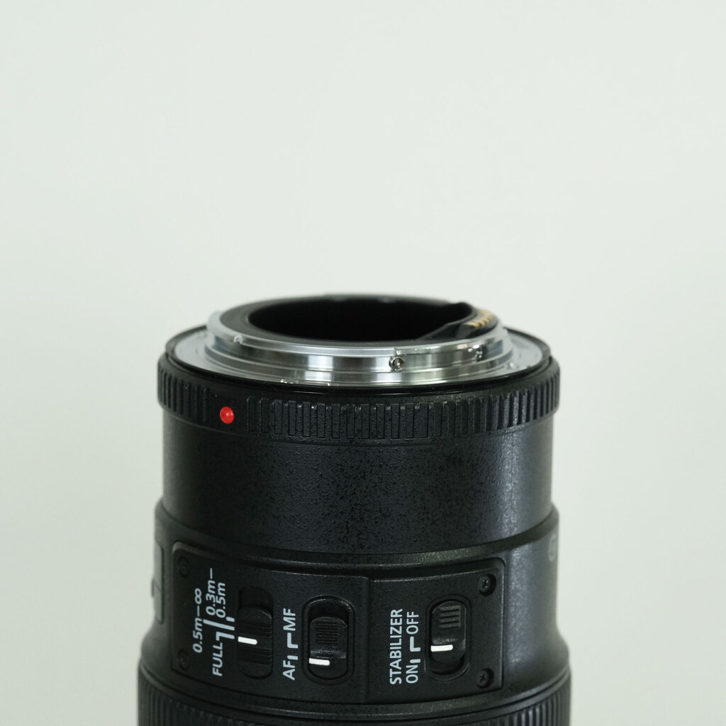 Canon EF100mm F2.8Lマクロ IS USM