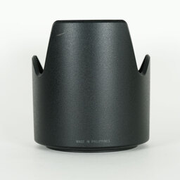 TAMRON SP 70-300mm F4-5.6 Di VC USD/Model A005E(キヤノンEF用)