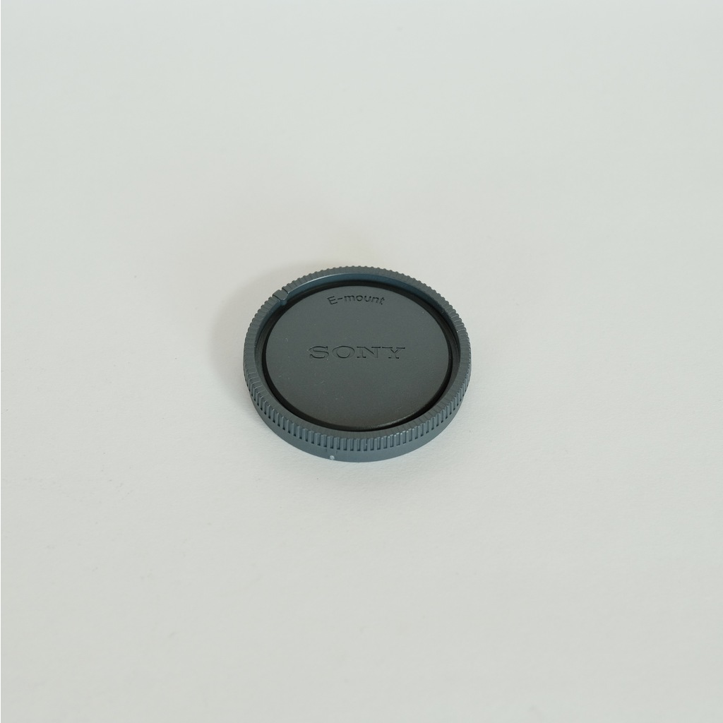 SONY FE 24-105mm F4 G OSS SEL24105G