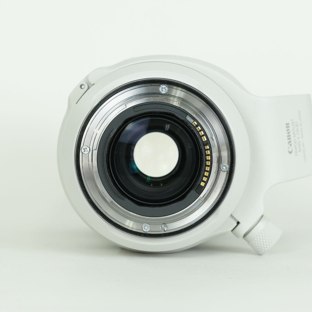 Canon RF70-200mm F2.8 L IS USM