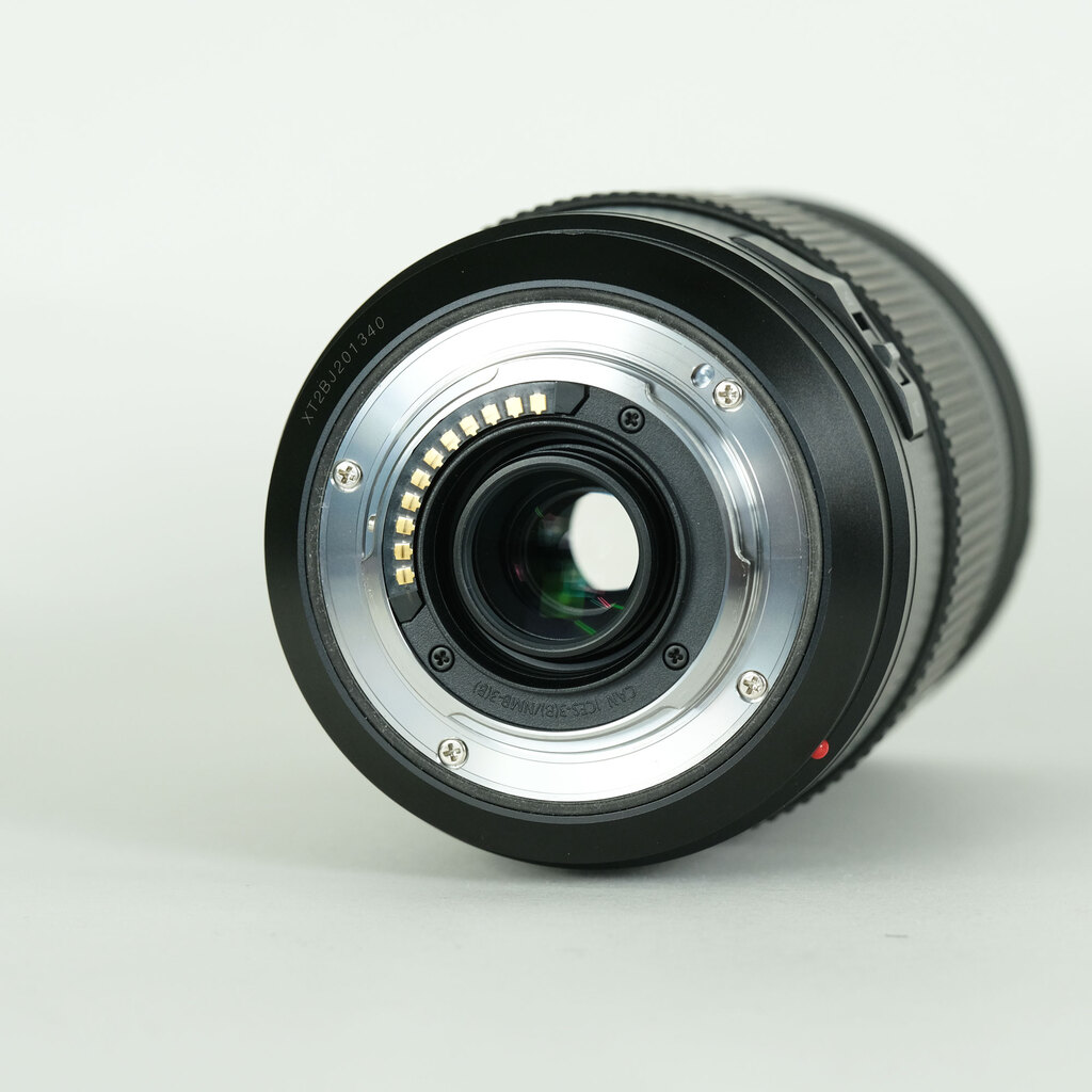 Panasonic LUMIX G VARIO 100-300mm / F4.0-5.6 II / POWER O.I.S.