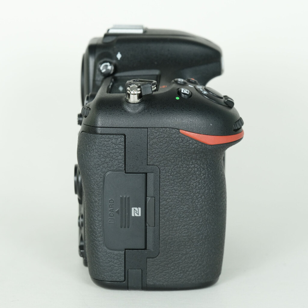 Nikon D500 [�{�f�B]