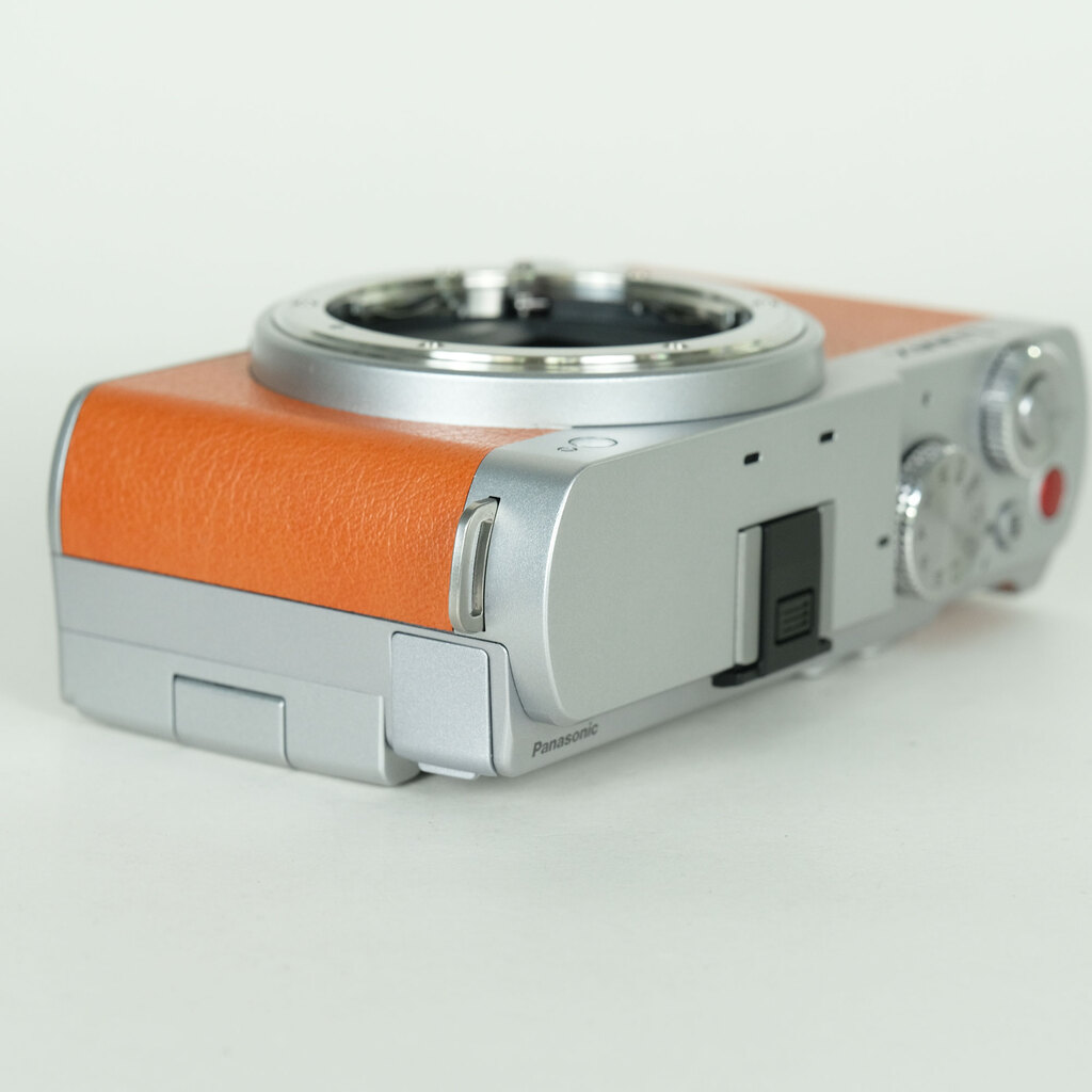 Panasonic LUMIX DC-S9