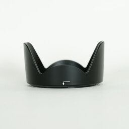 Nikon AF-P DX NIKKOR 18-55mm F3.5-5.6G VR