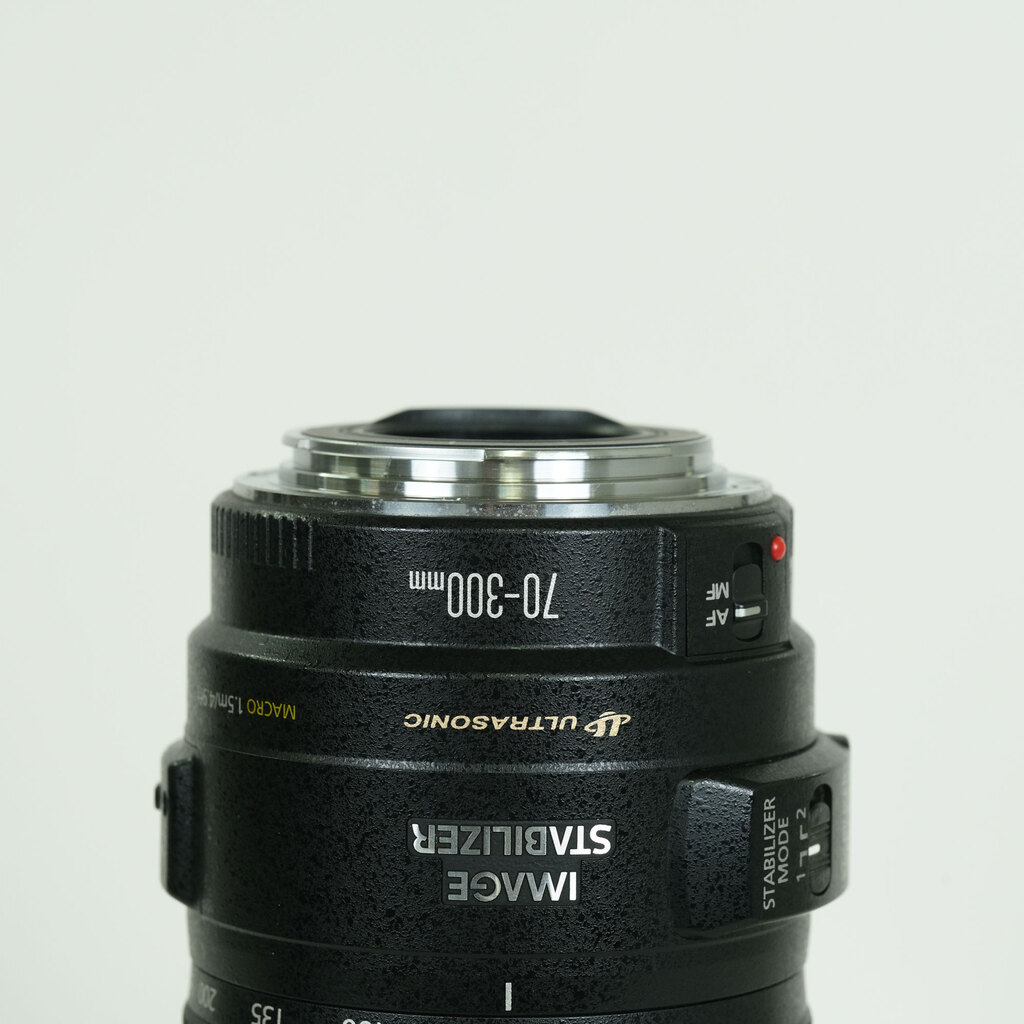 Canon EF70-300mm F4-5.6 IS USM Canon EF70-300mm F4-5.6 IS USM