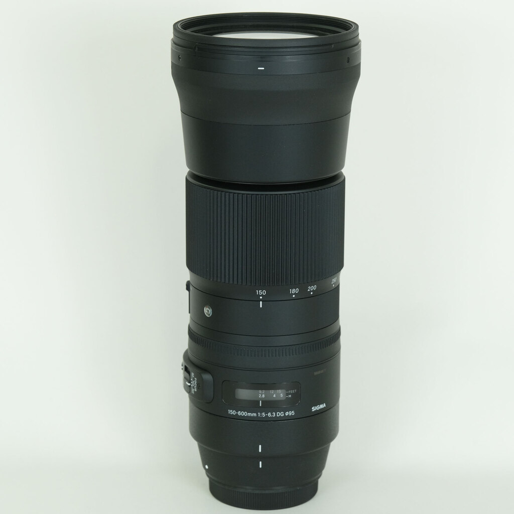 SIGMA 150-600mm F5-6.3 DG OS HSM | Contemporary [キヤノンEF用]