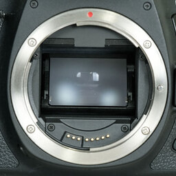 Canon EOS 6D Mark II