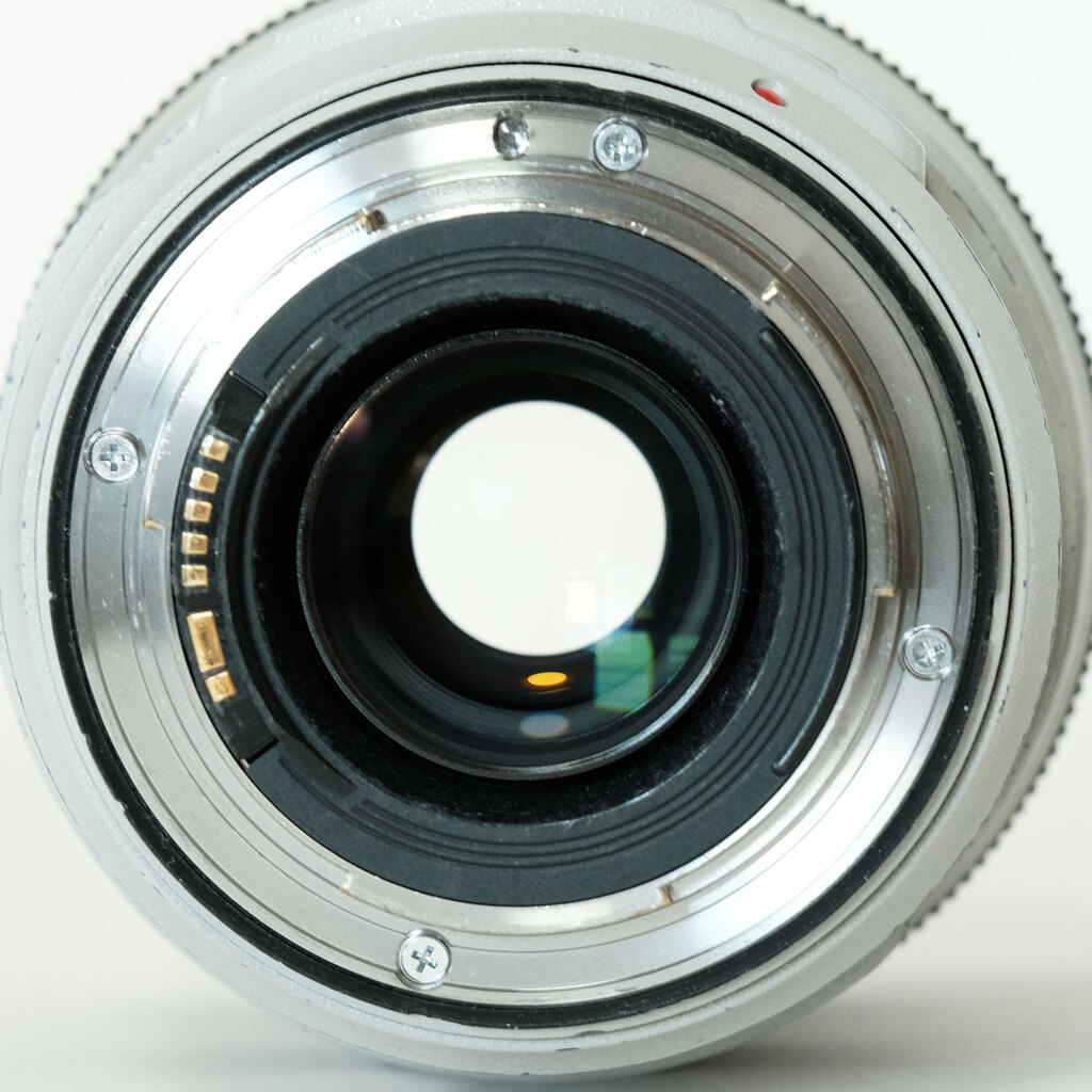 Canon EF70-300mm F4-5.6L IS USM