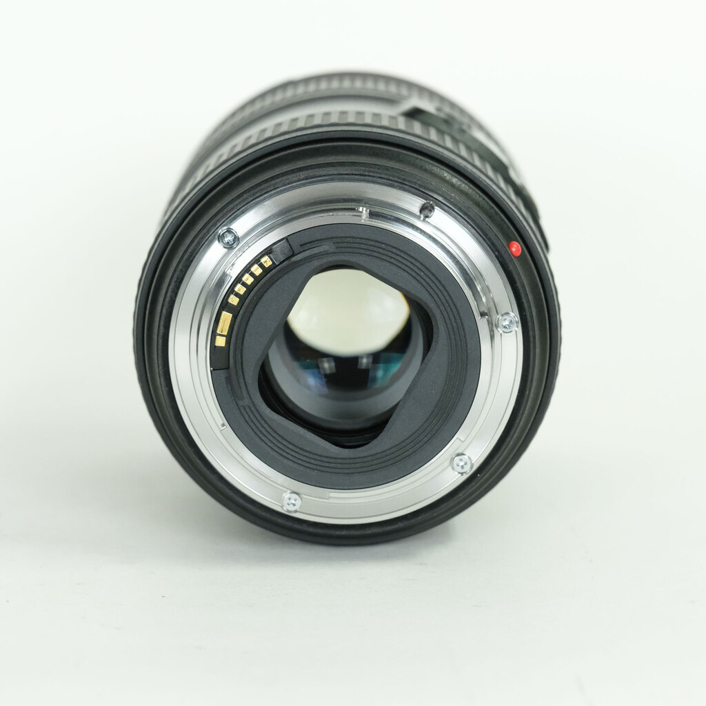 Canon EF24-105mm F4L IS II USM
