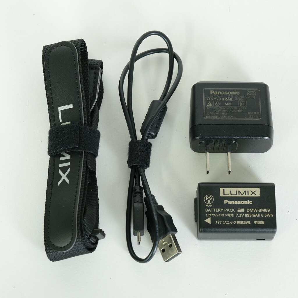 Panasonic LUMIX DC-FZ85 Panasonic LUMIX DC-FZ85