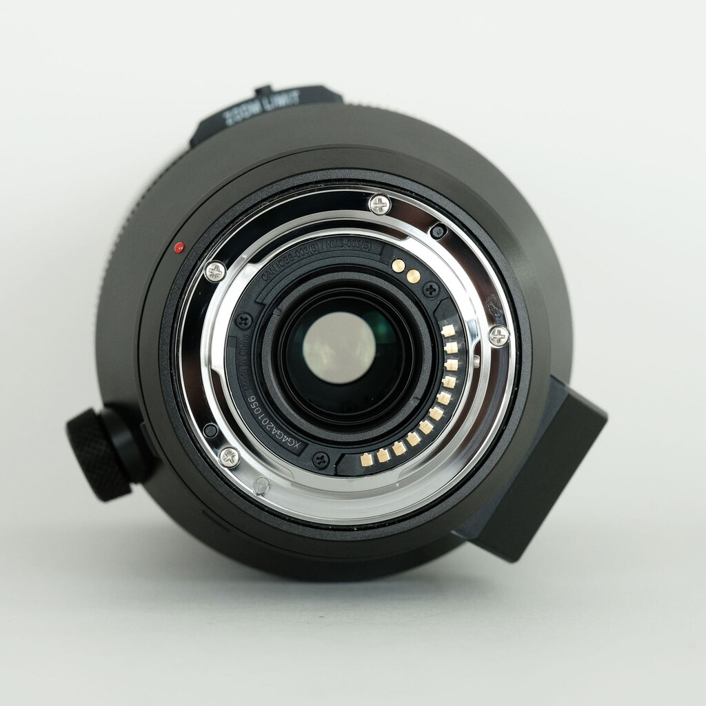 Panasonic LEICA DG VARIO-ELMAR 100-400mm / F4.0-6.3 II ASPH. / POWER O.I.S.