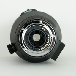 Panasonic LEICA DG VARIO-ELMAR 100-400mm / F4.0-6.3 II ASPH. / POWER O.I.S.