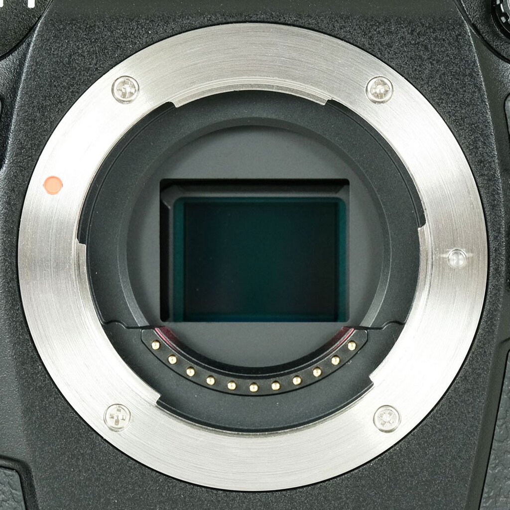 OM SYSTEM OM-1 Mark II