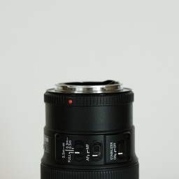 Canon EF100mm F2.8Lマクロ IS USM
