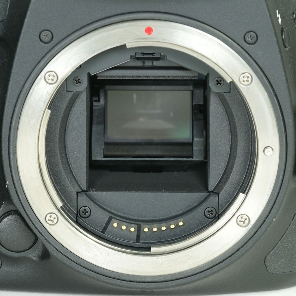 Canon EOS 7D Mark II